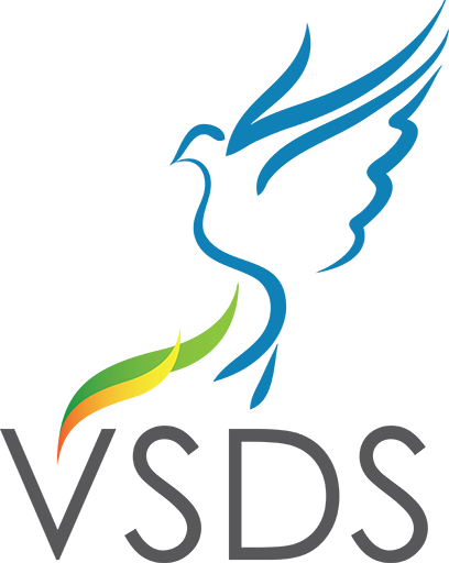 VSDS