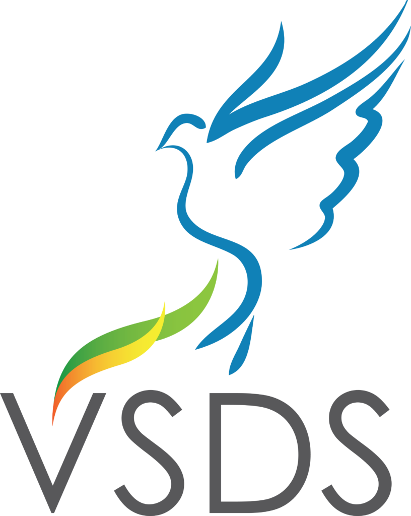 VSDS